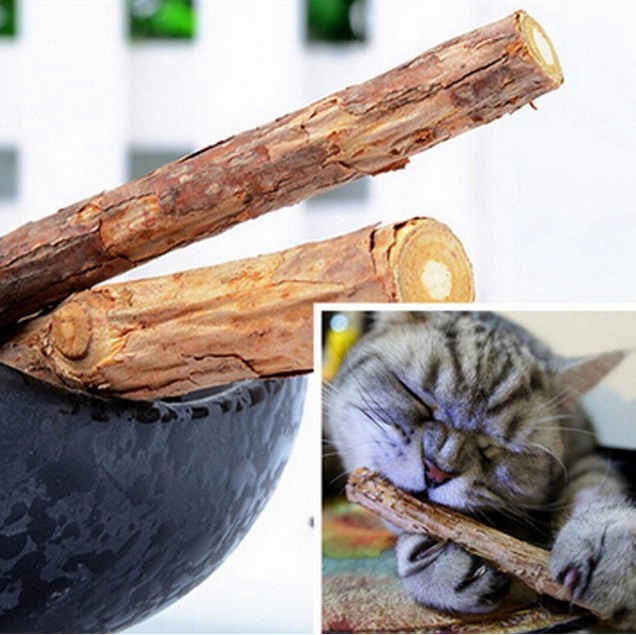 5 PCS Matatabi Chew Toy for Cats/Kittens