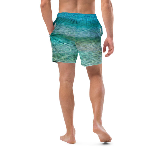 Blue Sea Men's swim trunks